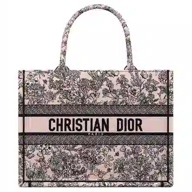 DIOR BookTote Tote