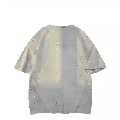 FRALAARRI T