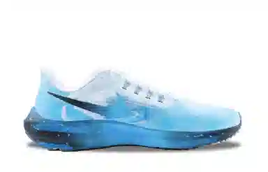 Nike Air Zoom Pegasus 39