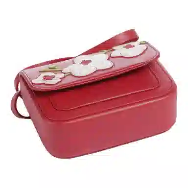 RADLEY MINI FLAPOVER CROSSBODY