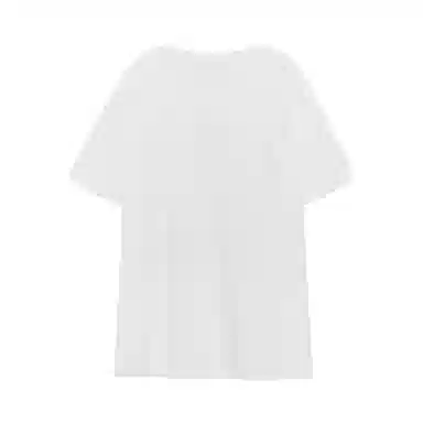 THE MUSEUM VISITOR T