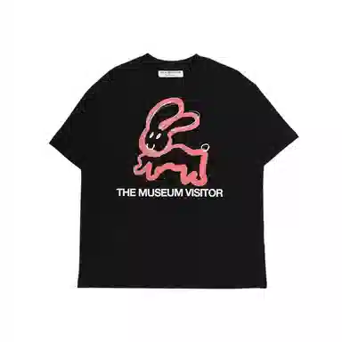 THE MUSEUM VISITOR T