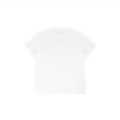 THE MUSEUM VISITOR T