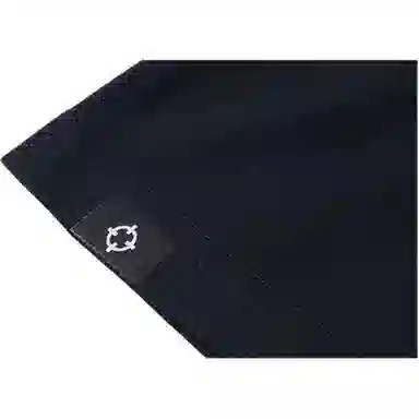 RIGORER T