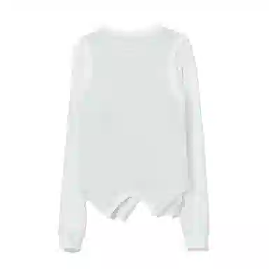 THE MUSEUM VISITOR T