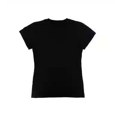 THE MUSEUM VISITOR T