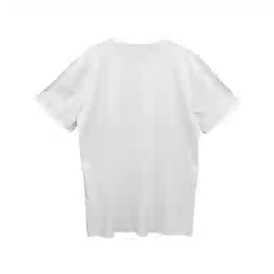 THE MUSEUM VISITOR T