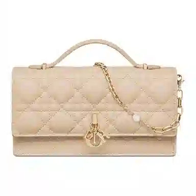 Dior Mini Bag