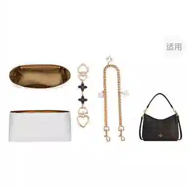 匠心手工坊 适用蔻驰流浪包延长链加长链条装饰链 内胆超轻防水杜邦纸内衬袋 金属合金 包肩带 女款 直金色/白利色