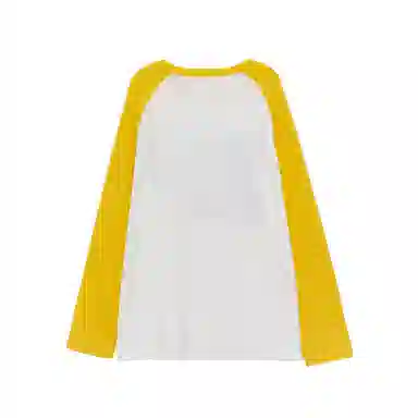 THE MUSEUM VISITOR T