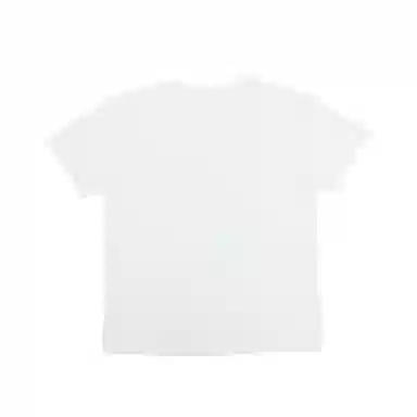 THE MUSEUM VISITOR T