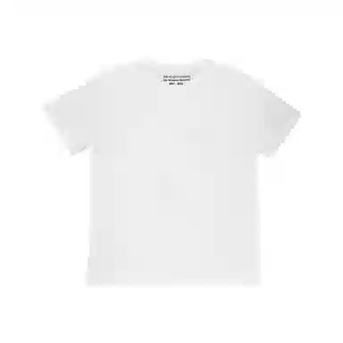 THE MUSEUM VISITOR T