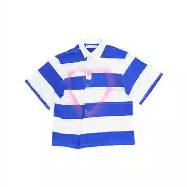 THE MUSEUM VISITOR T