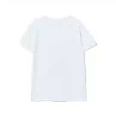 THE MUSEUM VISITOR T