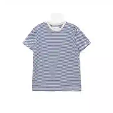 THE MUSEUM VISITOR T