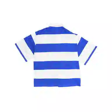 THE MUSEUM VISITOR T