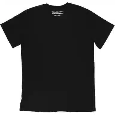 THE MUSEUM VISITOR T