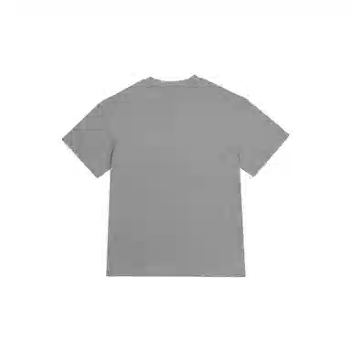 THE MUSEUM VISITOR T