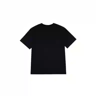 THE MUSEUM VISITOR T