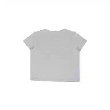 THE MUSEUM VISITOR T