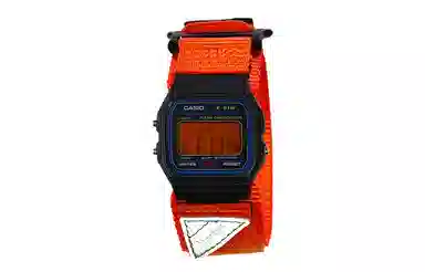 CASIO F-91W-1
