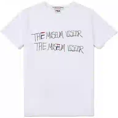 THE MUSEUM VISITOR T