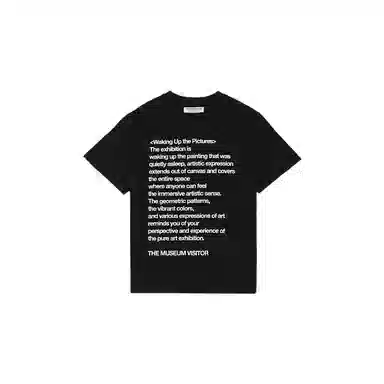 THE MUSEUM VISITOR T