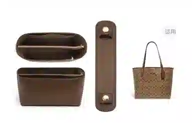 COACHctiy3330Tote