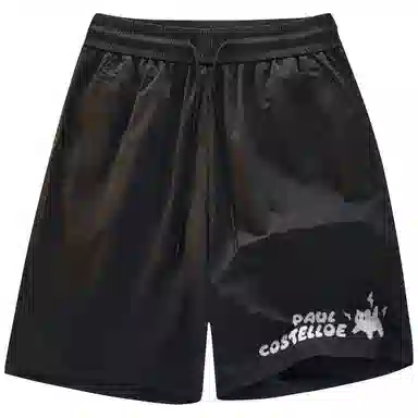 PAUL COSTELLOE logo