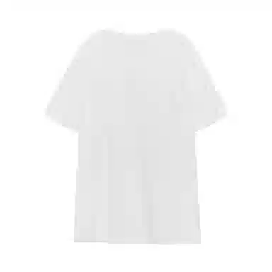 THE MUSEUM VISITOR T