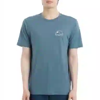 patagonia Capilene Cool Merino Graphic Shirt T