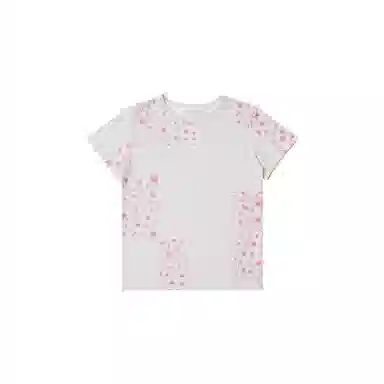 THE MUSEUM VISITOR T