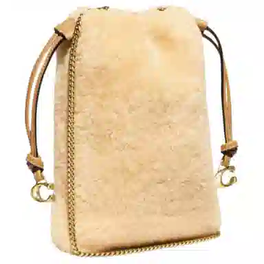 COACH Pouch 17
