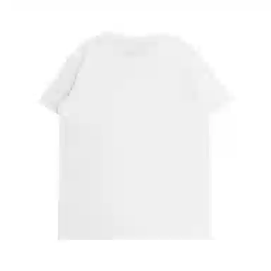 THE MUSEUM VISITOR T