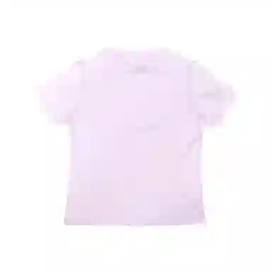 THE MUSEUM VISITOR T