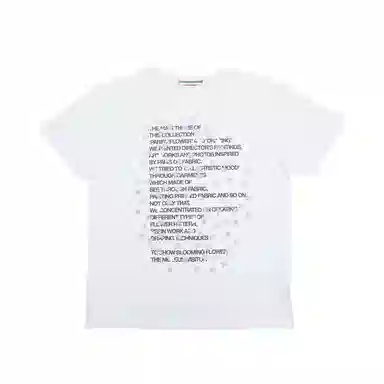 THE MUSEUM VISITOR T