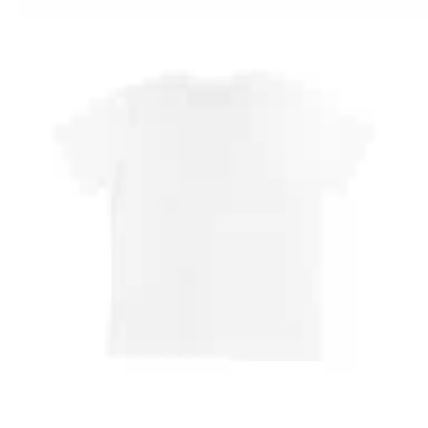 THE MUSEUM VISITOR T