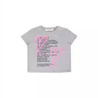 THE MUSEUM VISITOR T