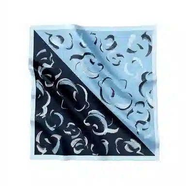 桑尚 苏州中国档案馆联名 桑蚕丝 丝巾 女款