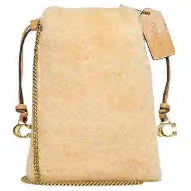 COACH Pouch 17
