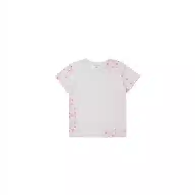 THE MUSEUM VISITOR T