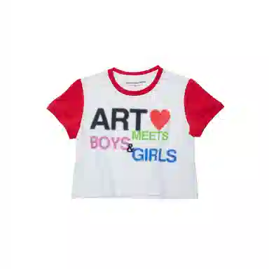 THE MUSEUM VISITOR T