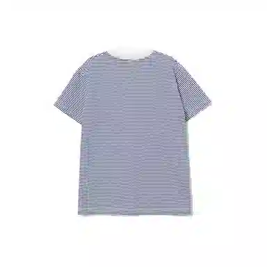 THE MUSEUM VISITOR T