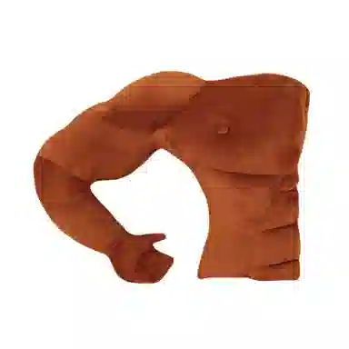 45cm58cm80cm