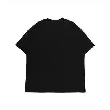 THE MUSEUM VISITOR T