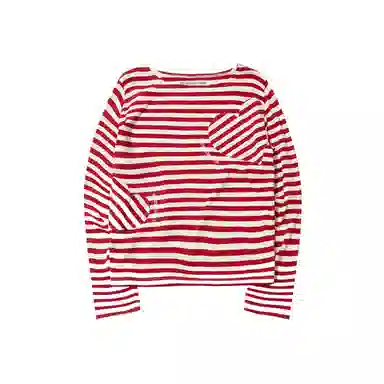 THE MUSEUM VISITOR T