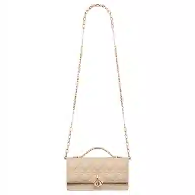 Dior Mini Bag