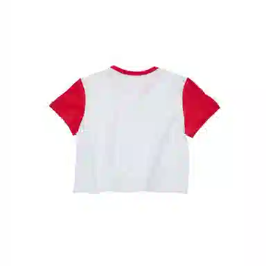 THE MUSEUM VISITOR T