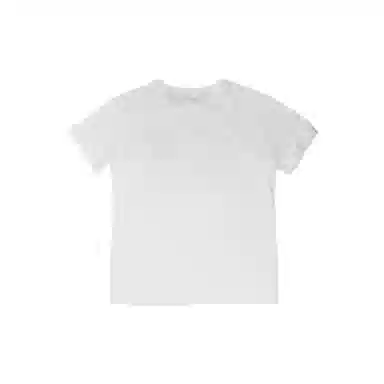 THE MUSEUM VISITOR T