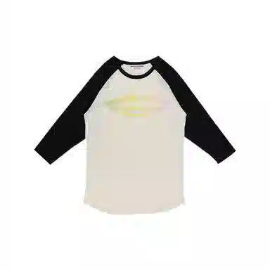 THE MUSEUM VISITOR T